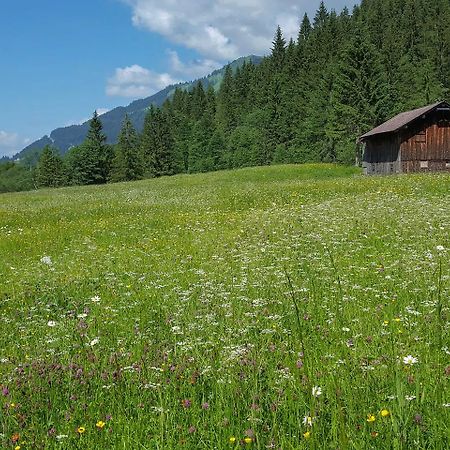 Naturzeithof Hirschegg (Vorarlberg) Buitenkant foto