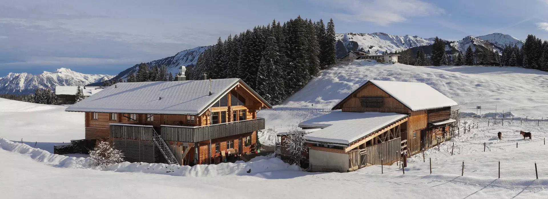 Naturzeithof Hirschegg (Vorarlberg) Buitenkant foto